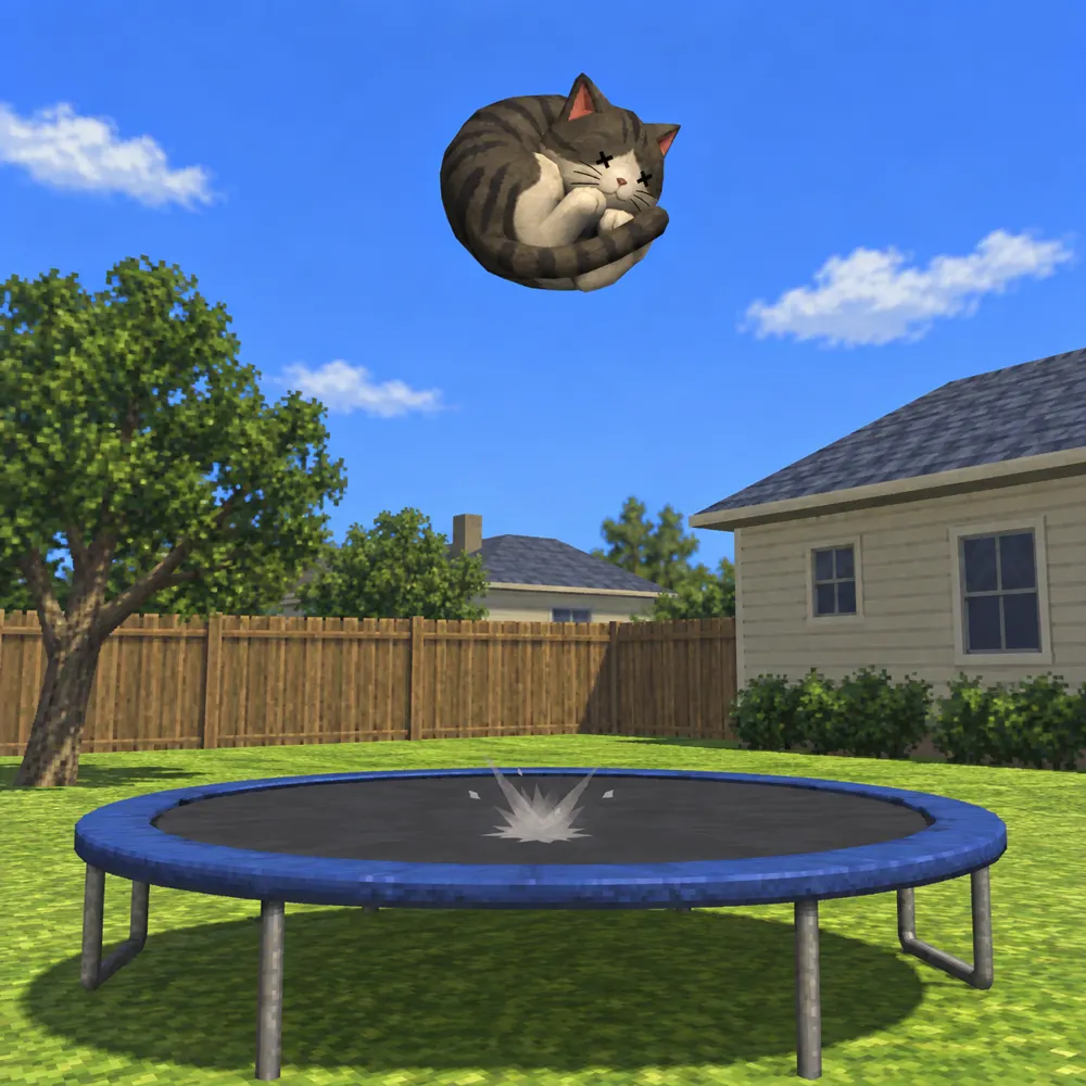 Dead Boing Cat over a trampoline